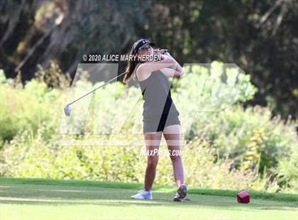 Thumbnail 3 in Hernando @ Springstead photogallery.