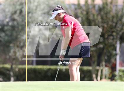 Thumbnail 2 in Hernando @ Springstead photogallery.