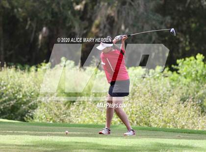 Thumbnail 3 in Hernando @ Springstead photogallery.