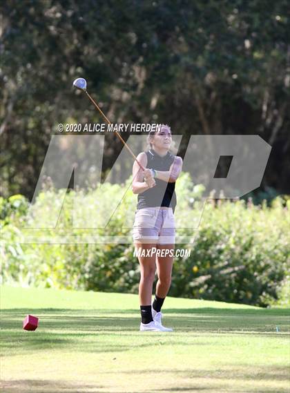 Thumbnail 2 in Hernando @ Springstead photogallery.