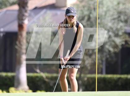 Thumbnail 1 in Hernando @ Springstead photogallery.