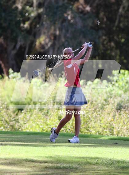 Thumbnail 2 in Hernando @ Springstead photogallery.