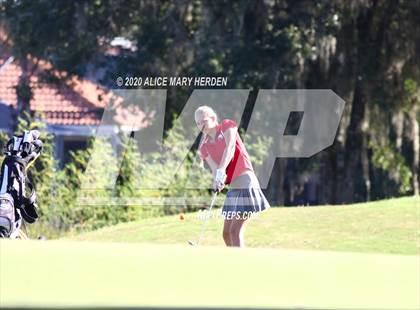 Thumbnail 3 in Hernando @ Springstead photogallery.