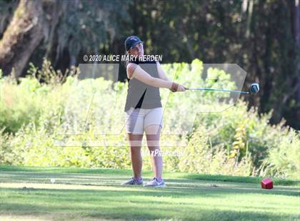 Thumbnail 3 in Hernando @ Springstead photogallery.