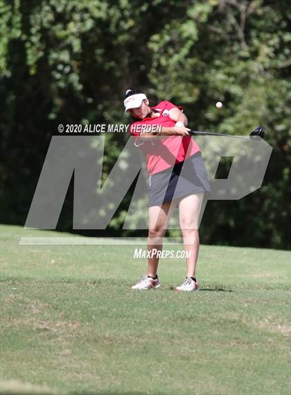 Thumbnail 2 in Hernando @ Springstead photogallery.