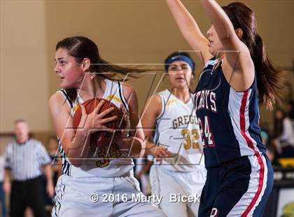 Thumbnail 2 in Gregori vs Beyer photogallery.