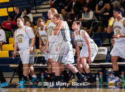 Thumbnail 1 in Gregori vs Beyer photogallery.