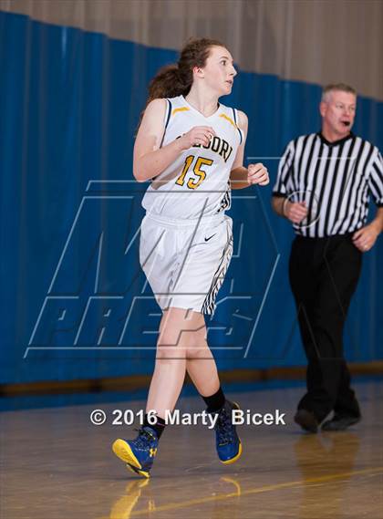Thumbnail 3 in Gregori vs Beyer photogallery.