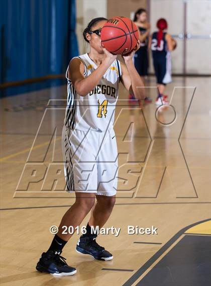 Thumbnail 3 in Gregori vs Beyer photogallery.