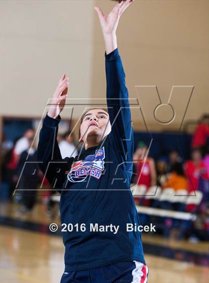 Thumbnail 3 in Gregori vs Beyer photogallery.