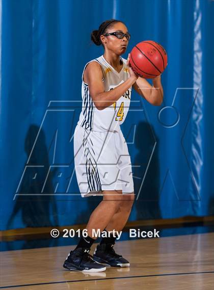 Thumbnail 2 in Gregori vs Beyer photogallery.