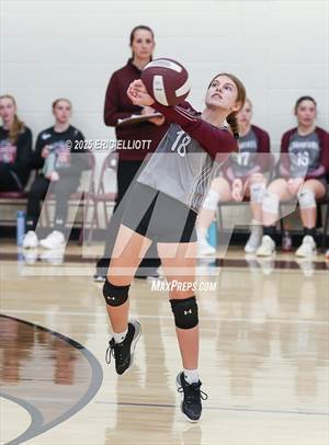 East Forest/West Forest @ Cranberry Area 