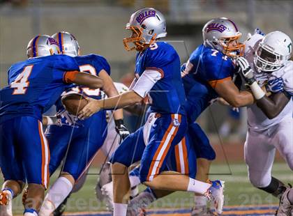 Thumbnail 2 in DeLand @ Bolles photogallery.
