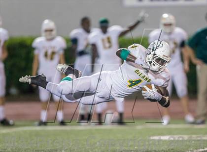 Thumbnail 2 in DeLand @ Bolles photogallery.