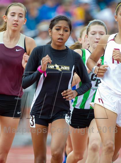 Thumbnail 1 in UIL Region 4 Regional Track & Field photogallery.