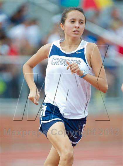 Thumbnail 2 in UIL Region 4 Regional Track & Field photogallery.