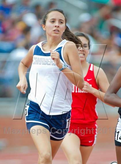 Thumbnail 3 in UIL Region 4 Regional Track & Field photogallery.