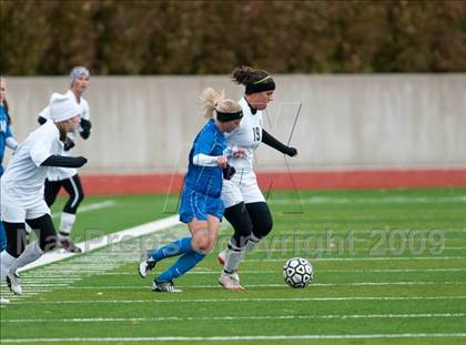 Thumbnail 3 in Woodbury @ Roseville photogallery.