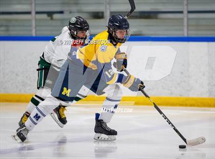 Thumbnail 2 in Forest Hills Central vs. Mattawan (MHSAA D3 Regional 1st Round Playoff) photogallery.