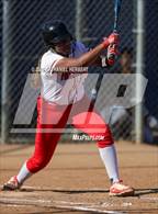 Photo from the gallery "Centennial @ Norco"