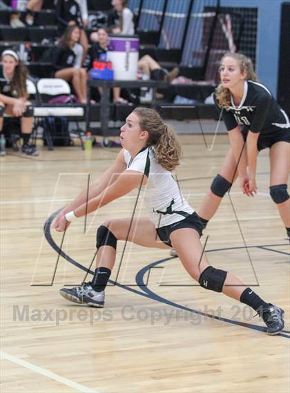Thumbnail 1 in Menendez vs. Nease photogallery.