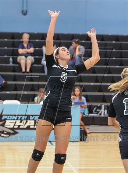 Thumbnail 2 in Menendez vs. Nease photogallery.