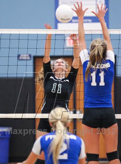 Thumbnail 1 in Menendez vs. Nease photogallery.