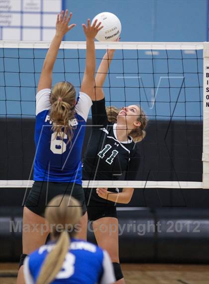 Thumbnail 3 in Menendez vs. Nease photogallery.