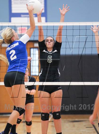 Thumbnail 3 in Menendez vs. Nease photogallery.