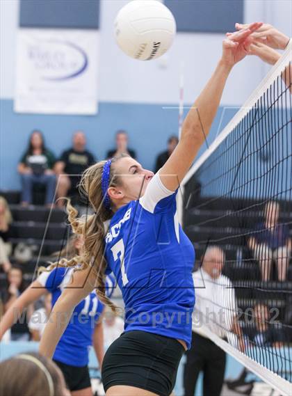 Thumbnail 1 in Menendez vs. Nease photogallery.