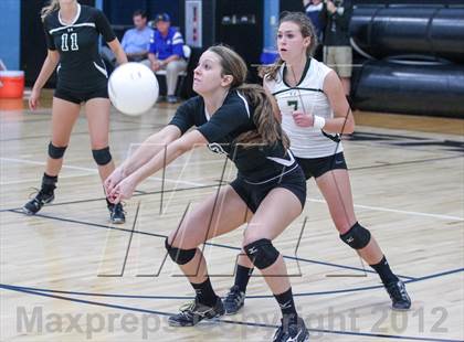 Thumbnail 3 in Menendez vs. Nease photogallery.