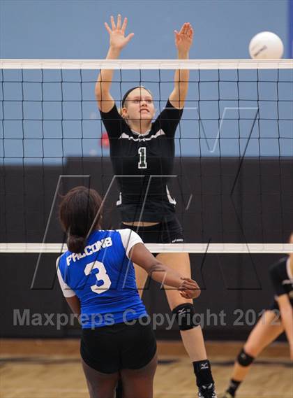 Thumbnail 1 in Menendez vs. Nease photogallery.