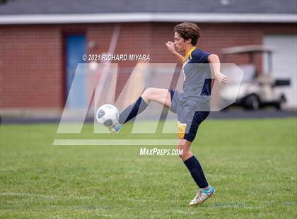 Thumbnail 2 in Pelham @ Bow photogallery.