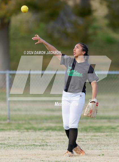 Thumbnail 1 in Pahrump Valley @ Virgin Valley photogallery.