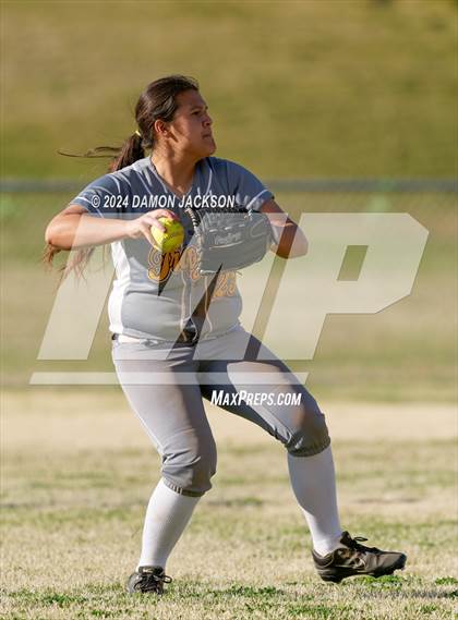 Thumbnail 3 in Pahrump Valley @ Virgin Valley photogallery.