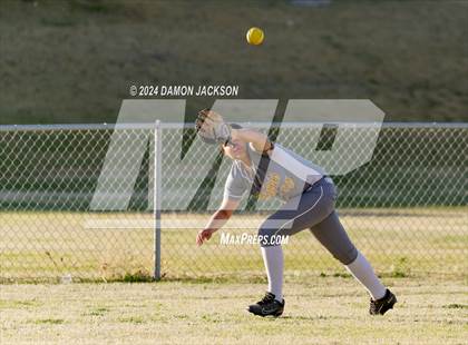 Thumbnail 1 in Pahrump Valley @ Virgin Valley photogallery.