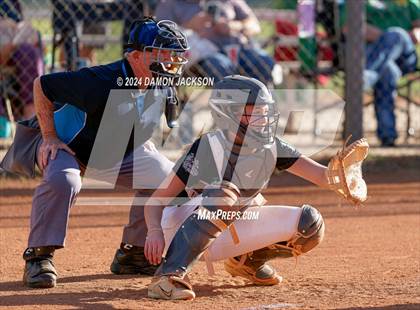 Thumbnail 1 in Pahrump Valley @ Virgin Valley photogallery.