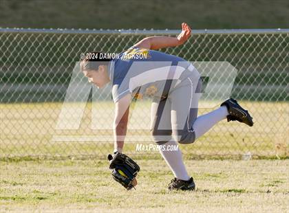 Thumbnail 2 in Pahrump Valley @ Virgin Valley photogallery.