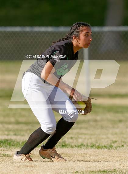 Thumbnail 1 in Pahrump Valley @ Virgin Valley photogallery.