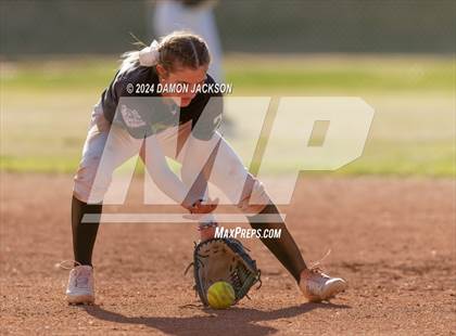 Thumbnail 3 in Pahrump Valley @ Virgin Valley photogallery.