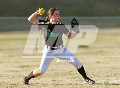 Thumbnail 3 in Pahrump Valley @ Virgin Valley photogallery.