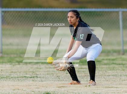 Thumbnail 2 in Pahrump Valley @ Virgin Valley photogallery.