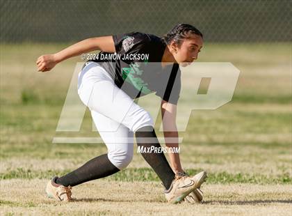 Thumbnail 3 in Pahrump Valley @ Virgin Valley photogallery.