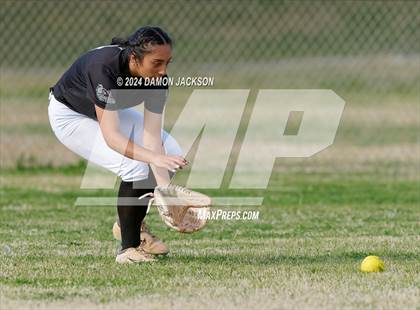 Thumbnail 2 in Pahrump Valley @ Virgin Valley photogallery.