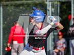 Photo from the gallery "Montgomery @ St. Vincent de Paul"