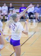 Photo from the gallery "Lake Forest @ Hersey"