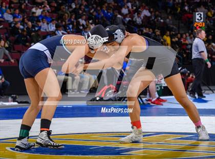 Thumbnail 1 in CIF State Girls Wrestling Championships (Semifinals) photogallery.