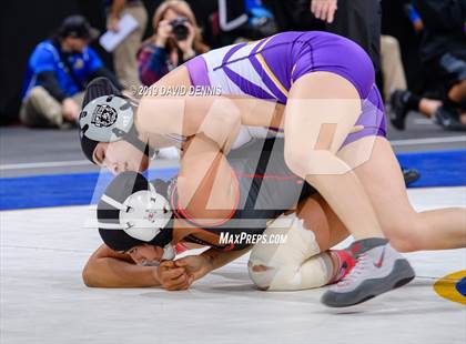 Thumbnail 1 in CIF State Girls Wrestling Championships (Semifinals) photogallery.