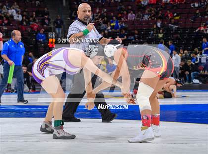 Thumbnail 2 in CIF State Girls Wrestling Championships (Semifinals) photogallery.