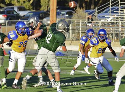 Thumbnail 3 in Del Campo @ Ponderosa photogallery.